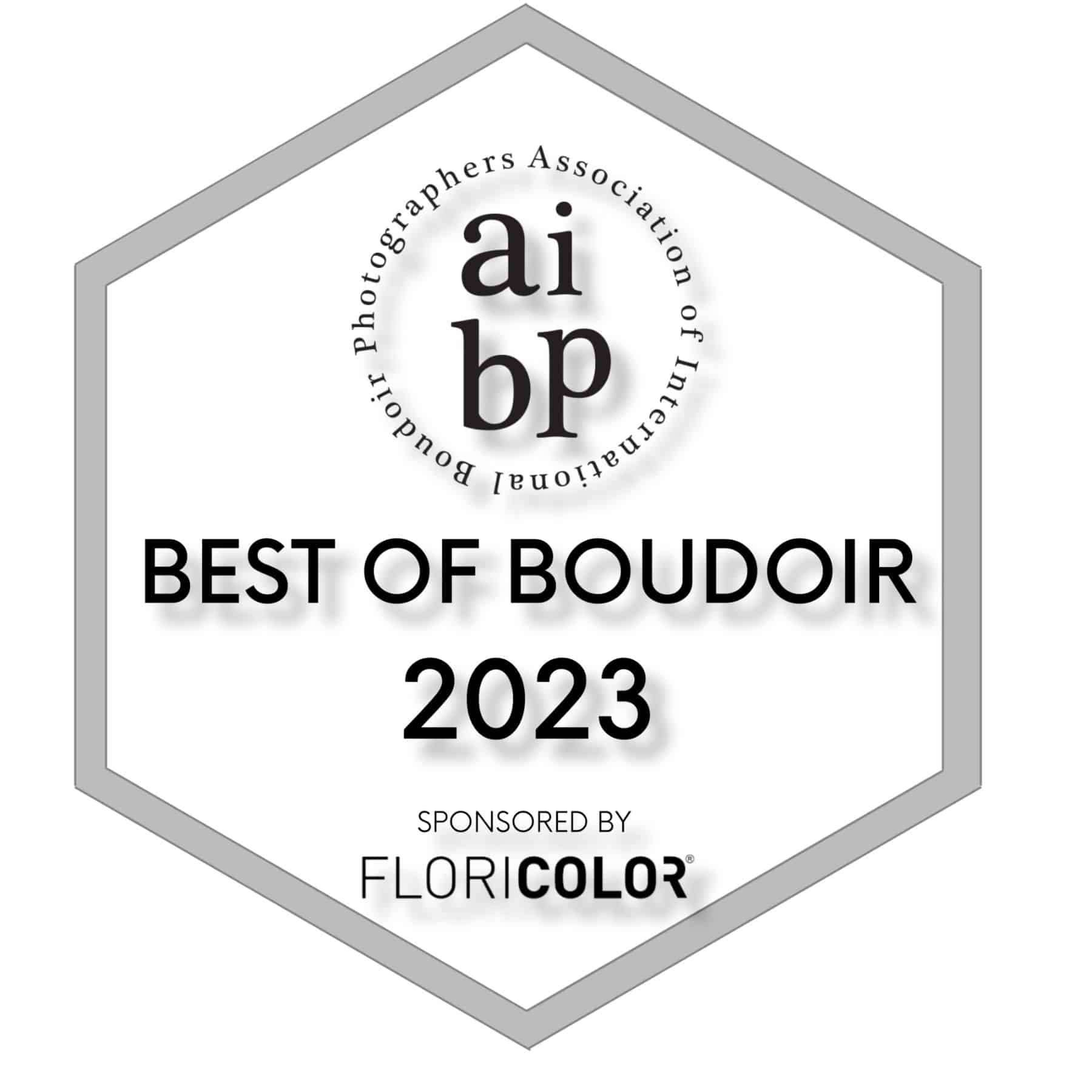 Shannon Hemauer won a Best of Boudoir 2023 from AIBP for her boudoir photo.